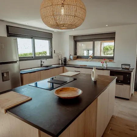 Des Vignes - Piscine - Jacuzzi - 18 Pers * Cazes-Mondenard