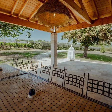 Des Vignes - Piscine - Jacuzzi - 18 Pers