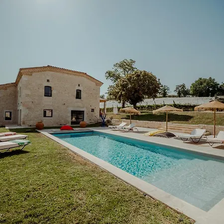 Des Vignes - Piscine - Jacuzzi - 18 Pers Cazes-Mondenard