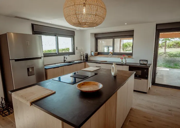 Des Vignes - Piscine - Jacuzzi - 18 Pers * Cazes-Mondenard