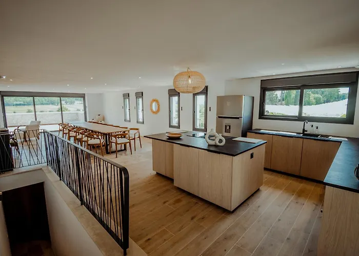 Des Vignes - Piscine - Jacuzzi - 18 Pers * Cazes-Mondenard