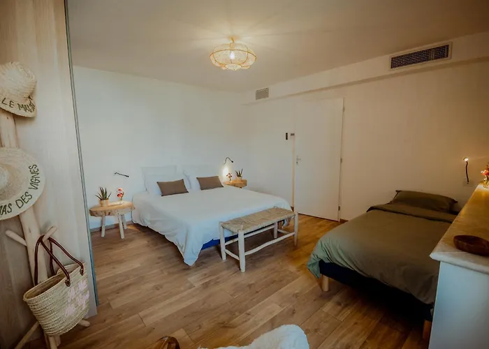 Des Vignes - Piscine - Jacuzzi - 18 Pers Villa *