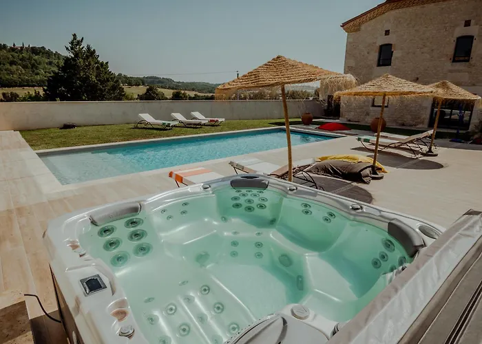 Des Vignes - Piscine - Jacuzzi - 18 Pers *