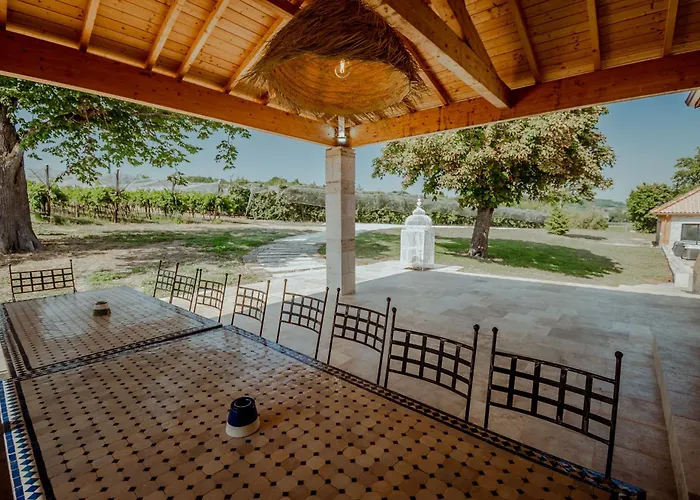 Des Vignes - Piscine - Jacuzzi - 18 Pers